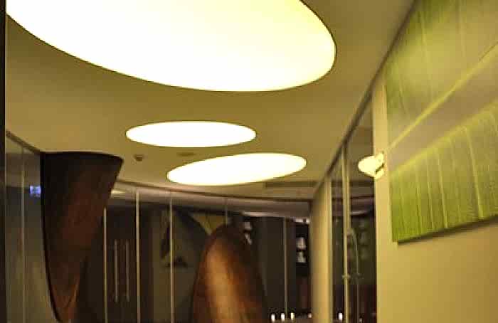 Transparan Gergi Tavan